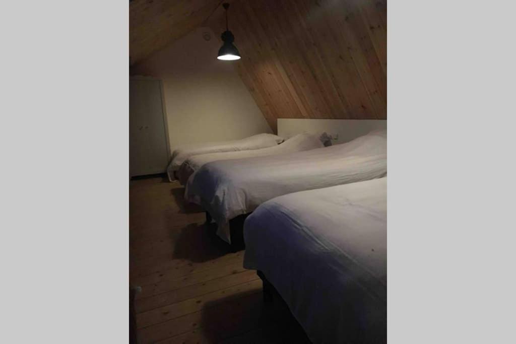 Ruim Appartement In Prachtige Fiets-Wandelomgeving أبكودْ المظهر الخارجي الصورة